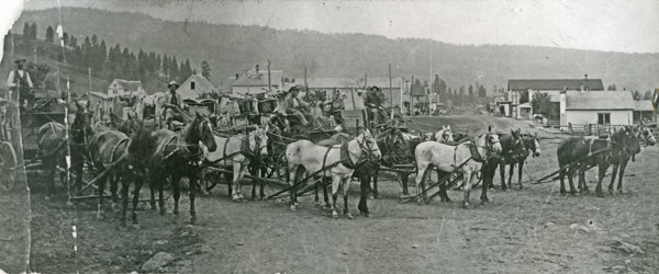 Wallowa, Freight Teams