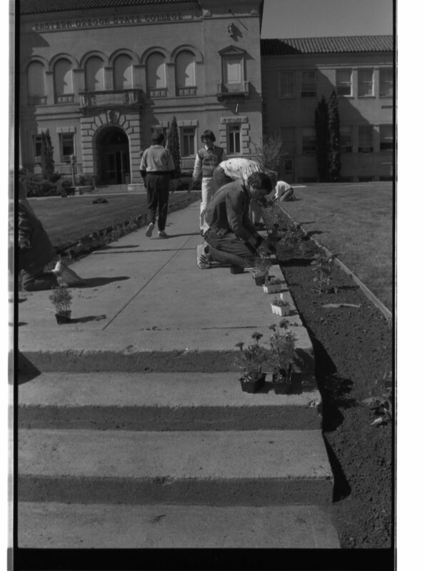1989 Employees, Planting 02