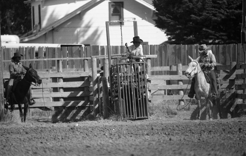 1981 Mule Rodeo, Roping Pairs 01