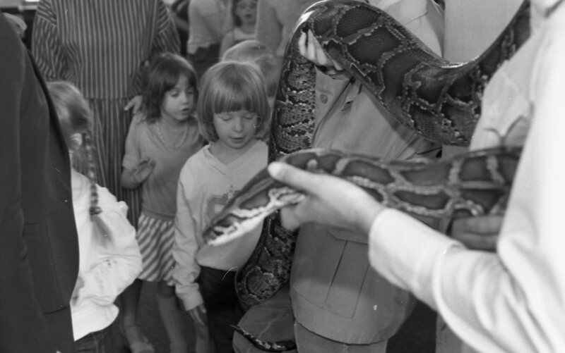 1985 Ackerman Elementary School, Safari 04