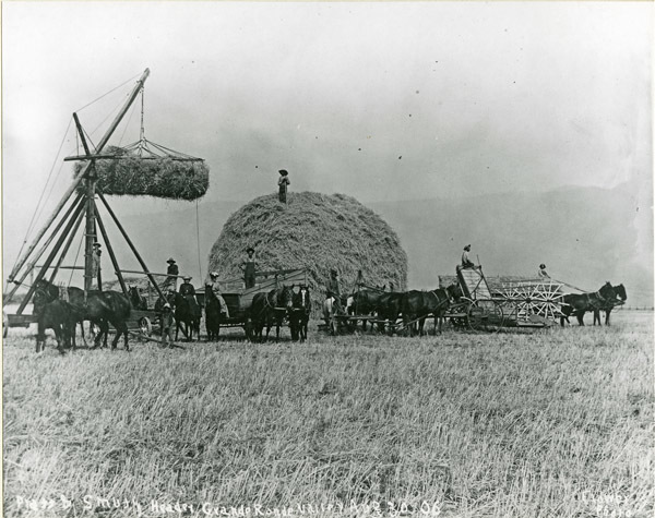 GRV, Stacking Hay 2