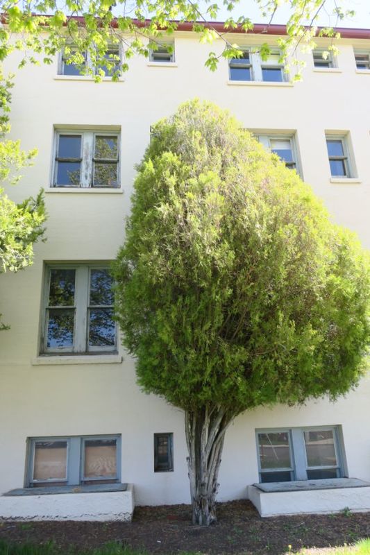 Dorian and Hunt Hall 18