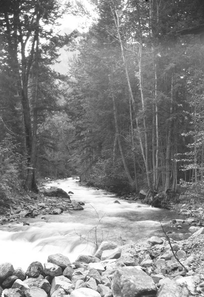 Cove, Stream 2