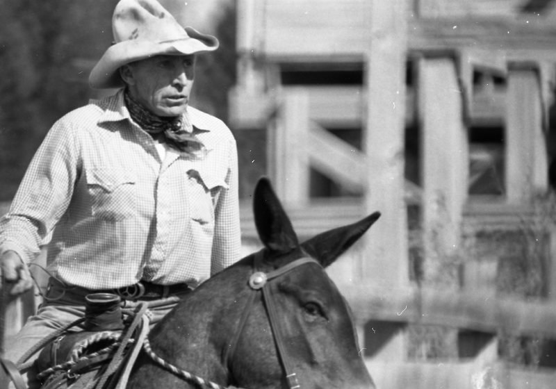 1981 Mule Rodeo, Pack Mule 04
