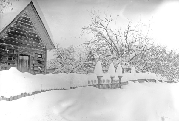 Cove, Street Scene 9