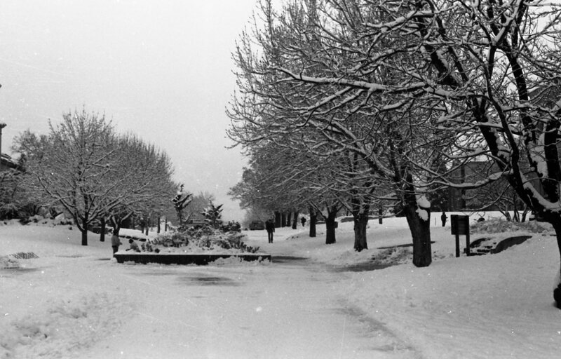 1983 Campus in Winter 02
