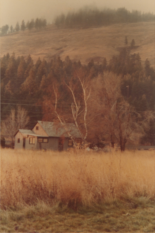 A house surrounded by trees in a field of yellow brush in the foreground, with a hill a dense tress in the background.