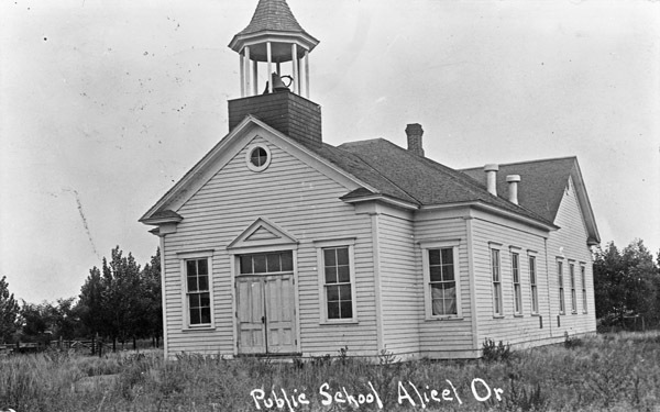 Alicel, Public School