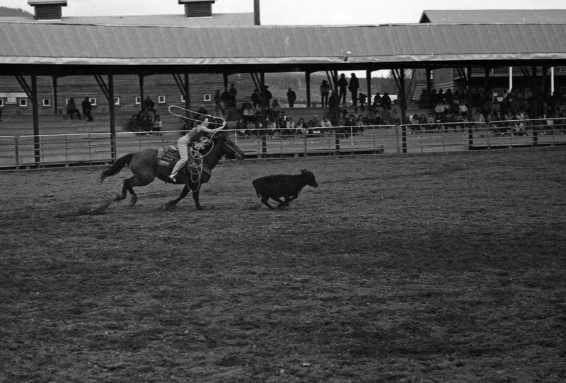 1984 Rodeo Club, Roping 08