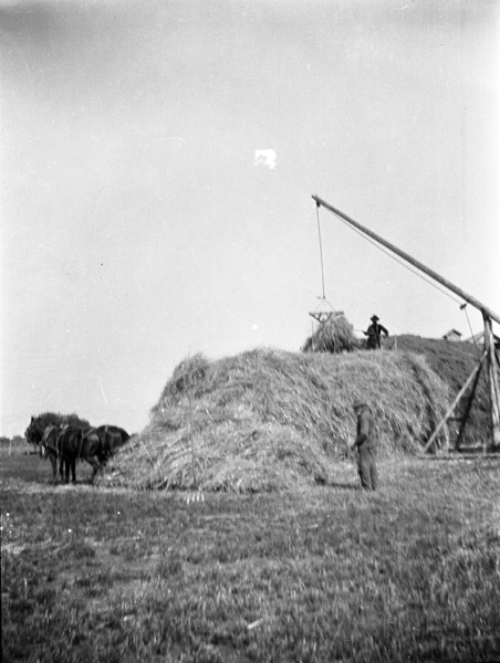 La Grande Farm, Huffman 5