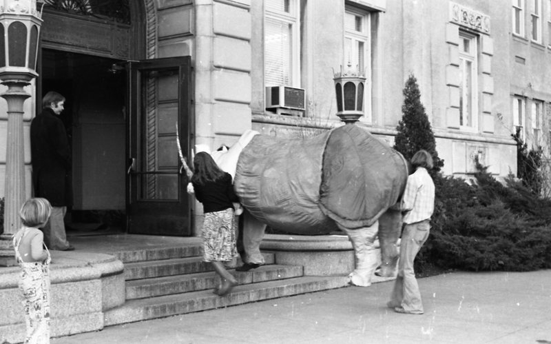 1977 Sculpture, Rhino 01