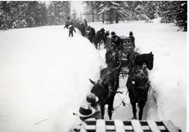 1912 Wallowa County, Elk Imports
