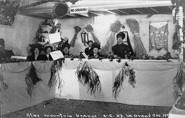 Union County Fair Exhibit 1