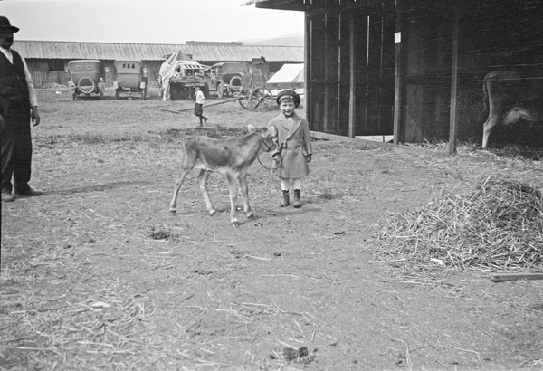 Reuter, Bob - Child 91