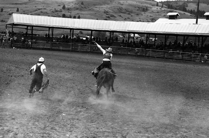 1981 Rodeo, Bull Riding 04