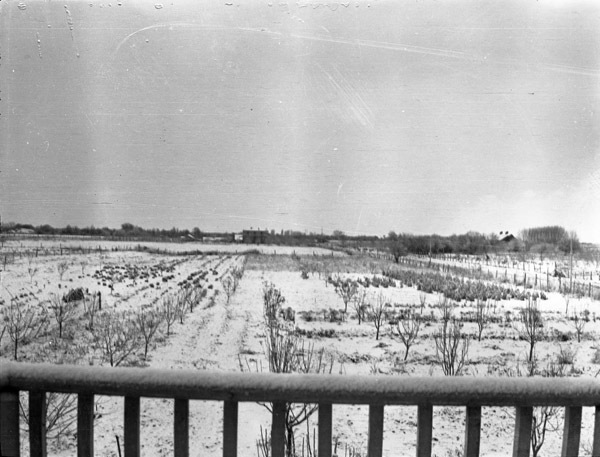 La Grande Farm, Huffman 6