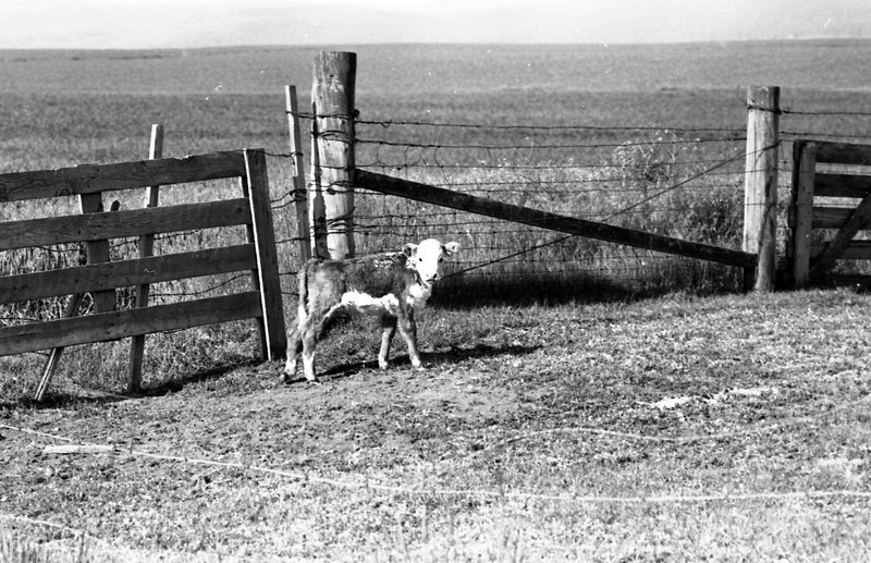 1982 Grande Ronde Valley, Farms 05