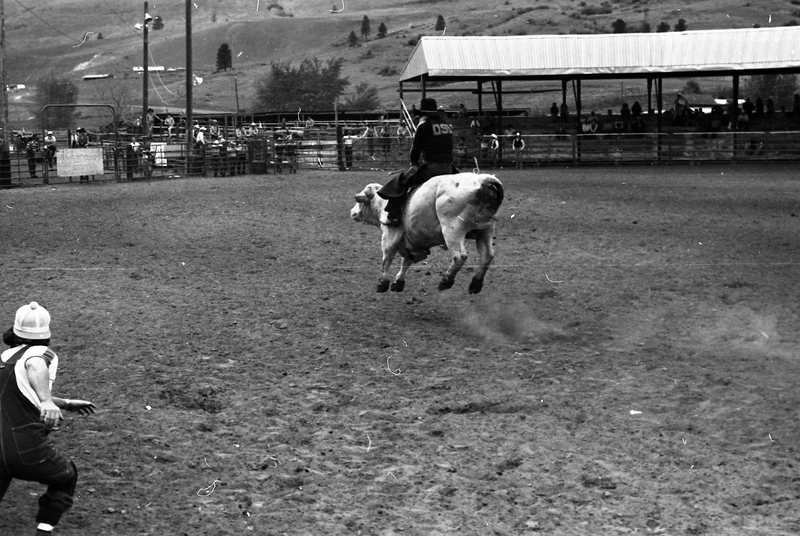 1981 Rodeo, Bull Riding 08