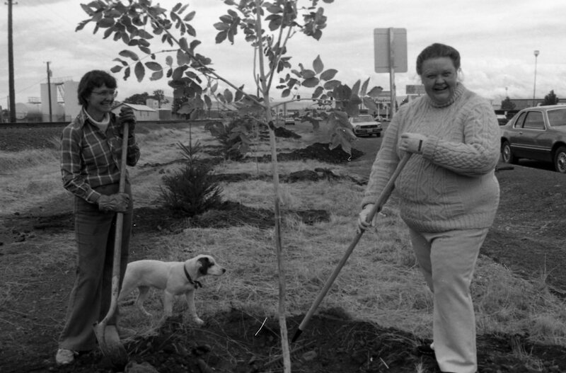 1985 Soroptimist Tree Plantings 04