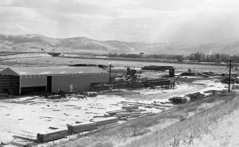 1980 Log Plant 11