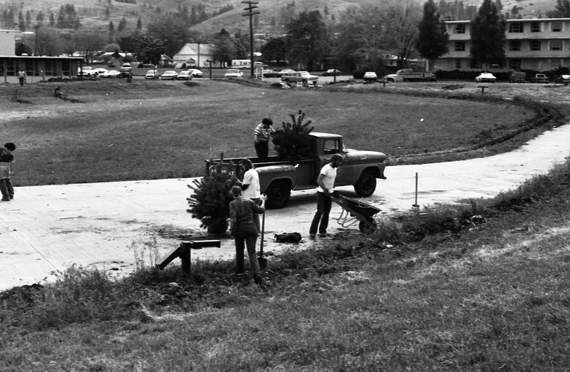 1981 Campus Tree Plantings 04