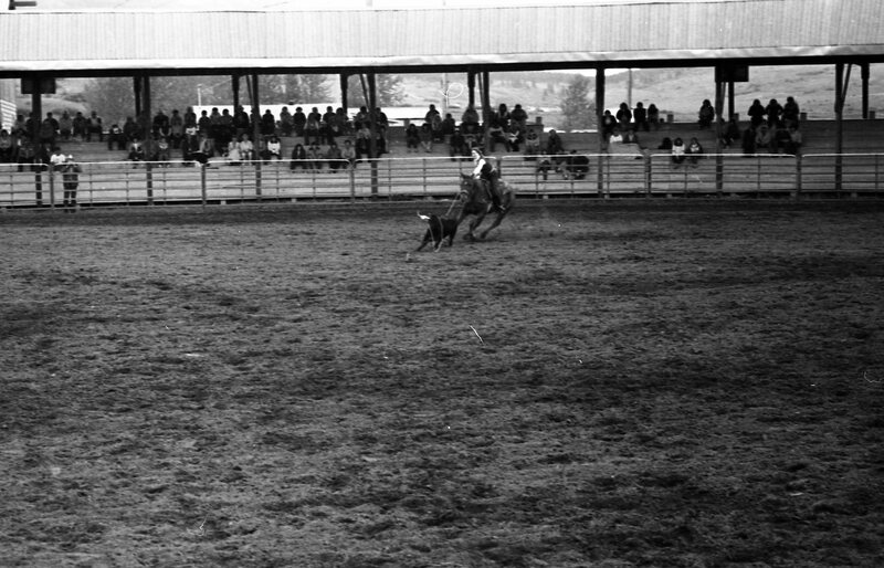 1984 Rodeo Club, Roping 06