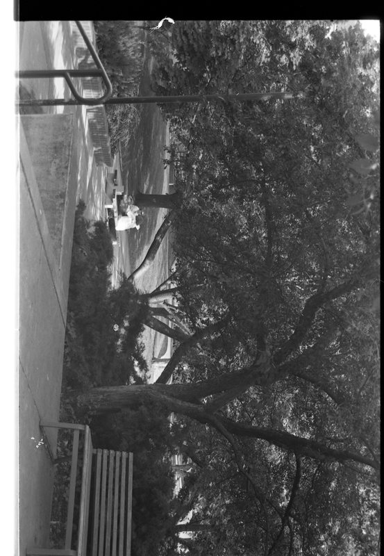 1989 Campus 3