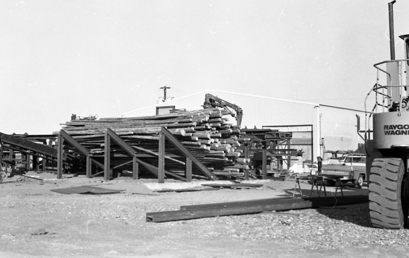 1980 Log Plant 08