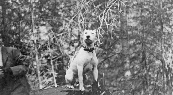 Reuter Group-O, Dog