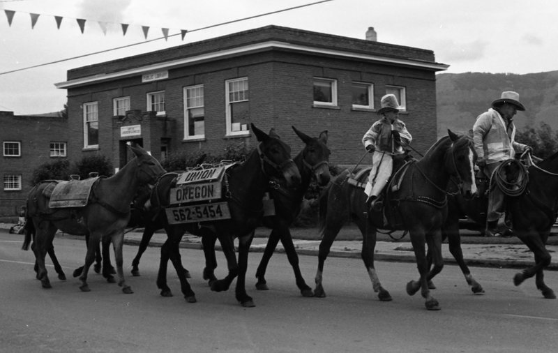 1981 Eastern Oregon Livestock Parade, Horses &amp; Riders 11