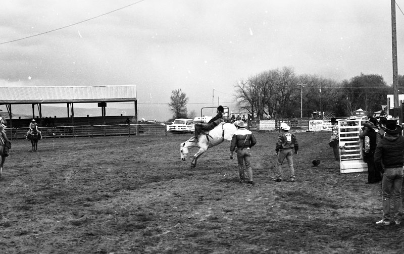 1982 EOSC Rodeo, Bronco Riding 02