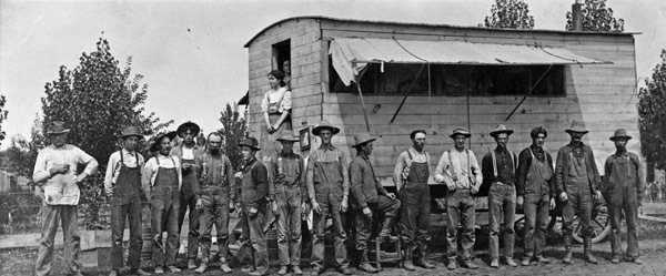 Alicel, Farmhands