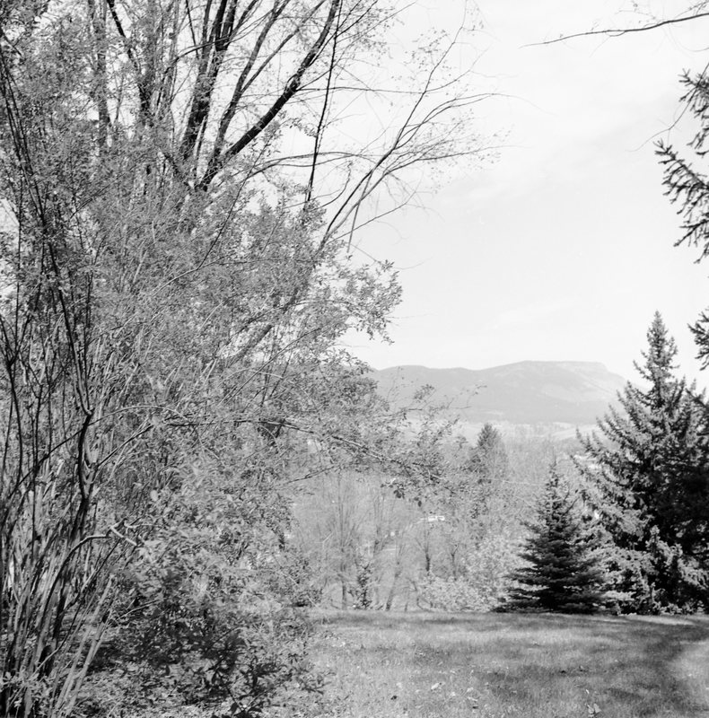 1968 Mt. Emily