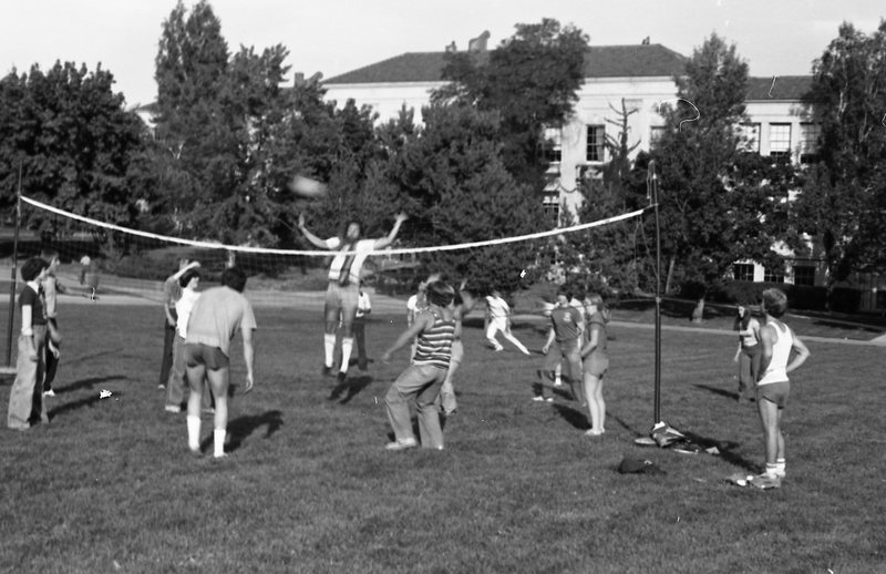 1981 Volleyball, New Students 17
