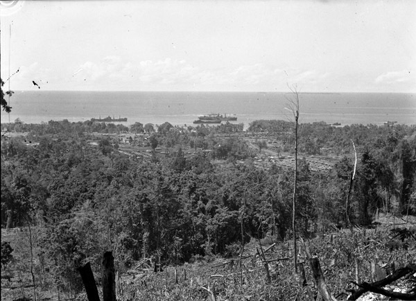 Finchhaffen Taro Plantation 1