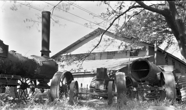 Mindoro, Sugar Plantation 3