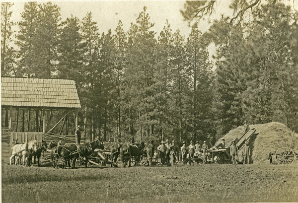 Eden, Threshing Operation