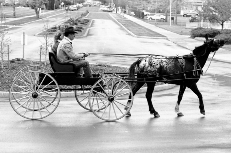 1988 Employee, Jack Johnson Carriage Ride 11