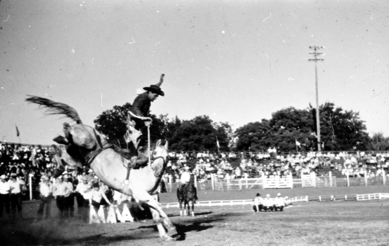 1972 Rodeo, Bronco Riding