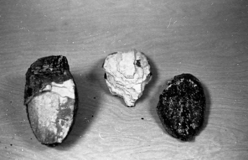 1979 Mammoth Teeth 02