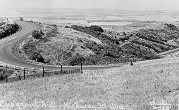 Cabbage Hill 3
