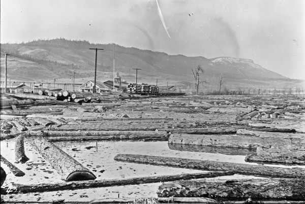 La Grande, Mt. Emily Sawmill 1