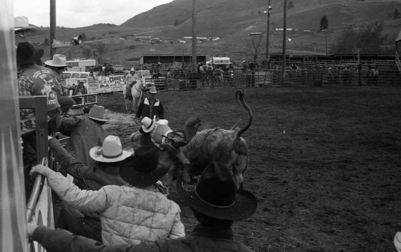 1984 Rodeo Club, Bull Riding 08