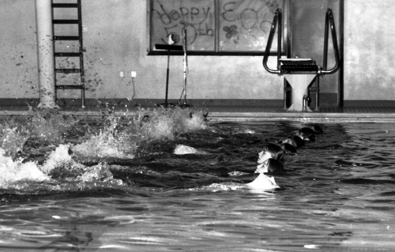 1979 Swimming, Synchronized 12