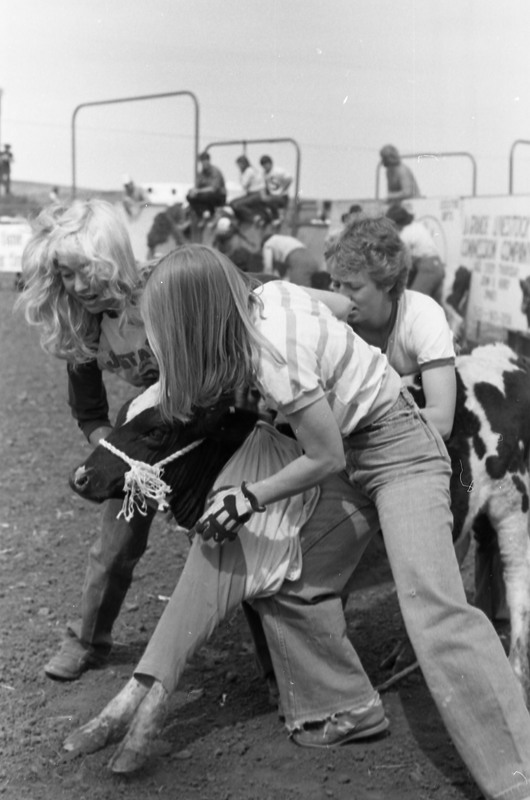 1981 Rodeo, Calf Dressing 05