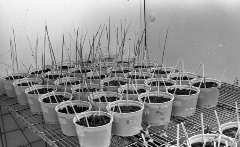 1979 Agriculture, Range Study 15