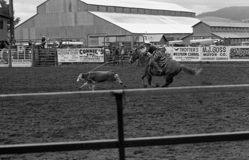 1986 Springfest, Rodeo Roping 01
