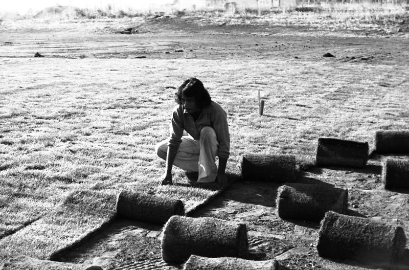 1981 Football Field, New Grass 10