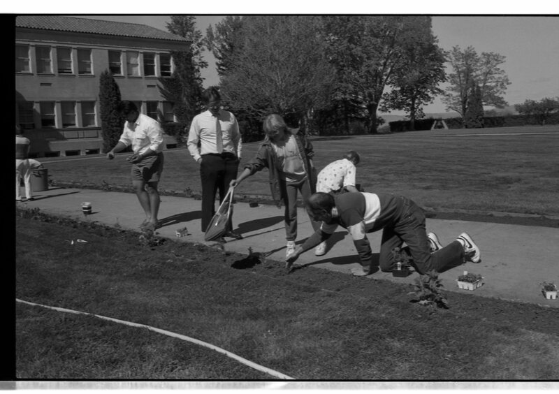 1989 Employees, Planting 11