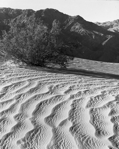 California, Death Valley 10